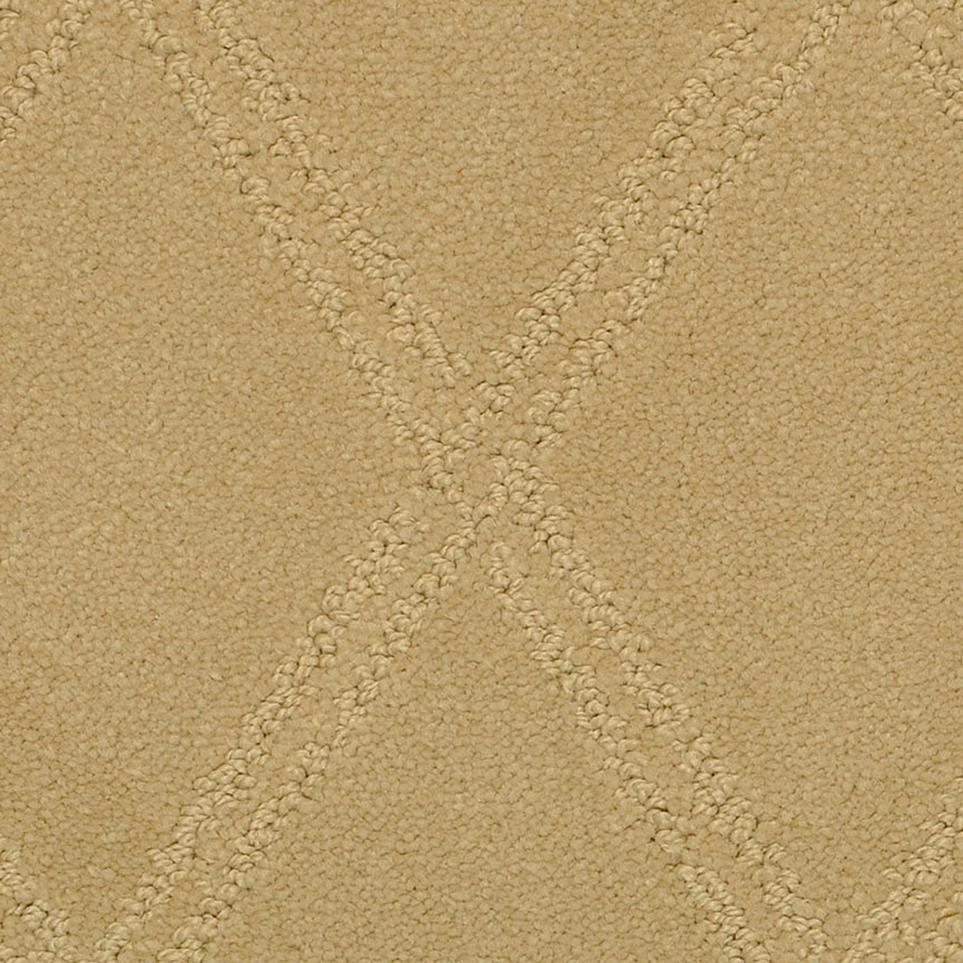 Pattern Rich Tan Beige/Tan Carpet