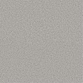 Plush Saxony Whiskers Gray Carpet