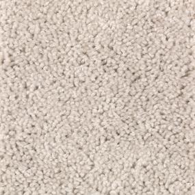 Textured Saxony Café Au Lait White Carpet
