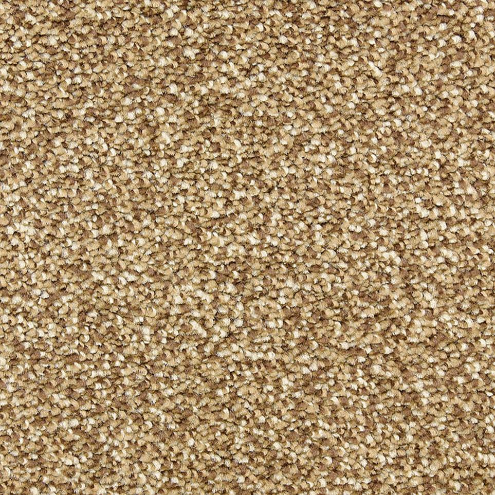 Texture Chocolate Chip Beige/Tan Carpet