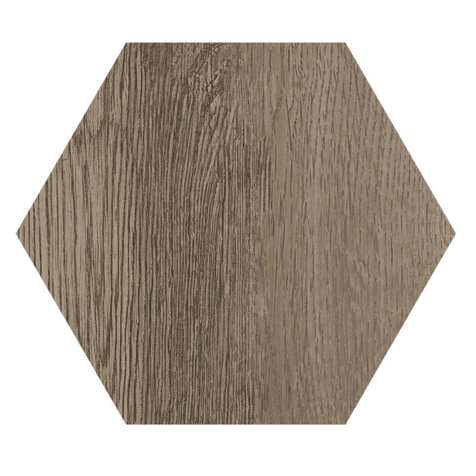 Tile Carriage Matte Medium Finish Tile