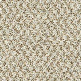 Pattern Desert Sand Beige/Tan Carpet