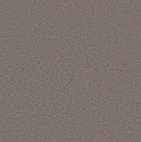 Textured Saxony Earth Tone Beige/Tan Carpet