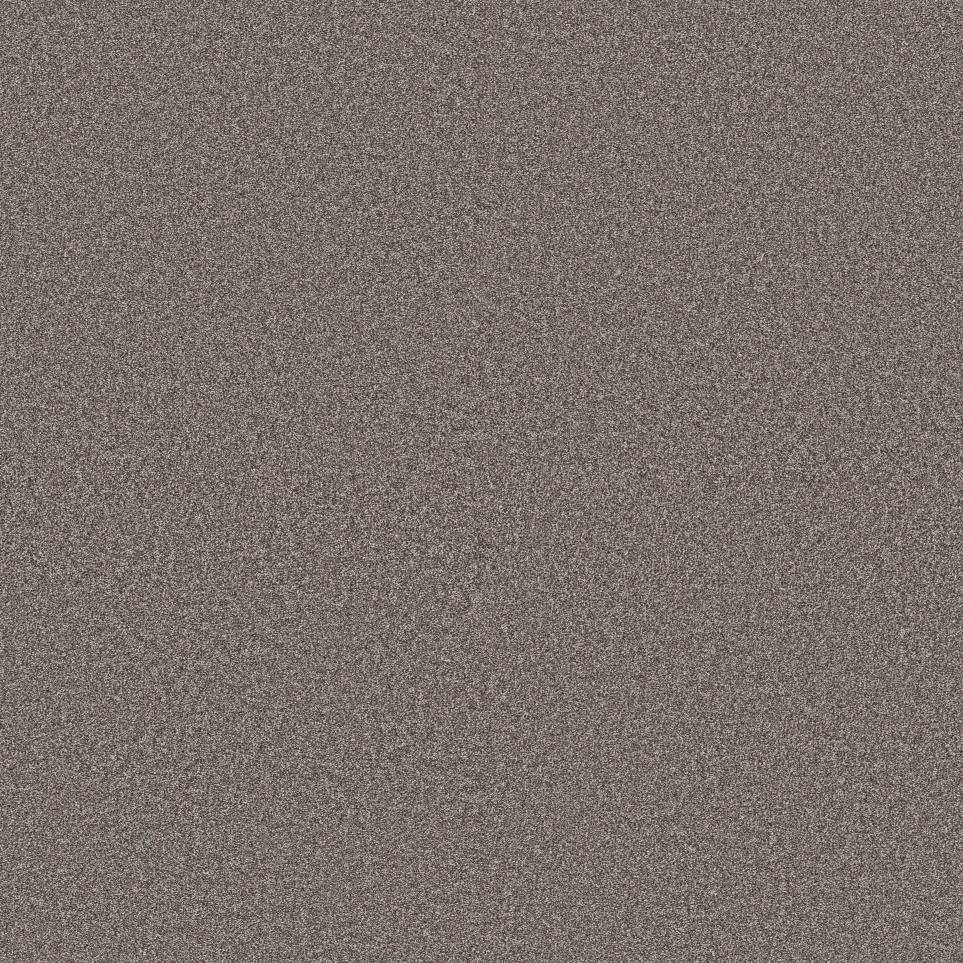 Textured Saxony Earth Tone Beige/Tan Carpet