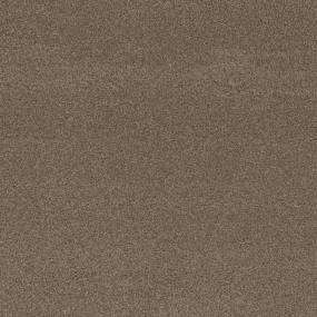 Textured Saxony Favorite Beige/Tan Carpet
