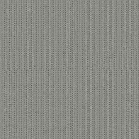 Loop Glacial Ice Gray Carpet