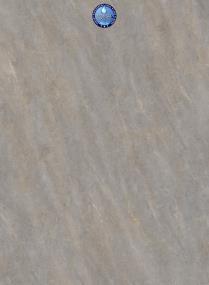 Tile Expedition Gray Vinyl