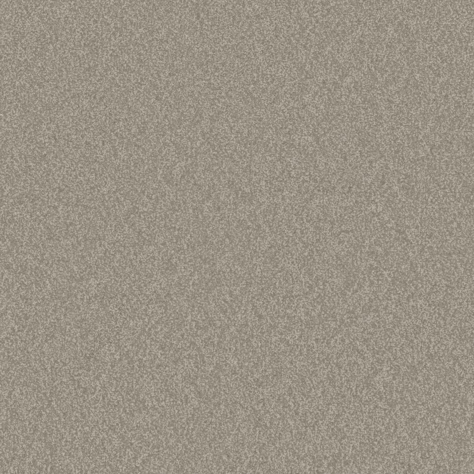 Casual Texture Destination Beige/Tan Carpet