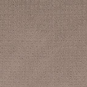 Pattern Latte Brown Carpet