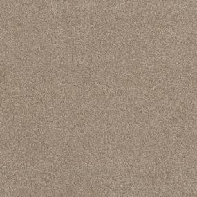 Casual Texture Coral Blush Beige/Tan Carpet