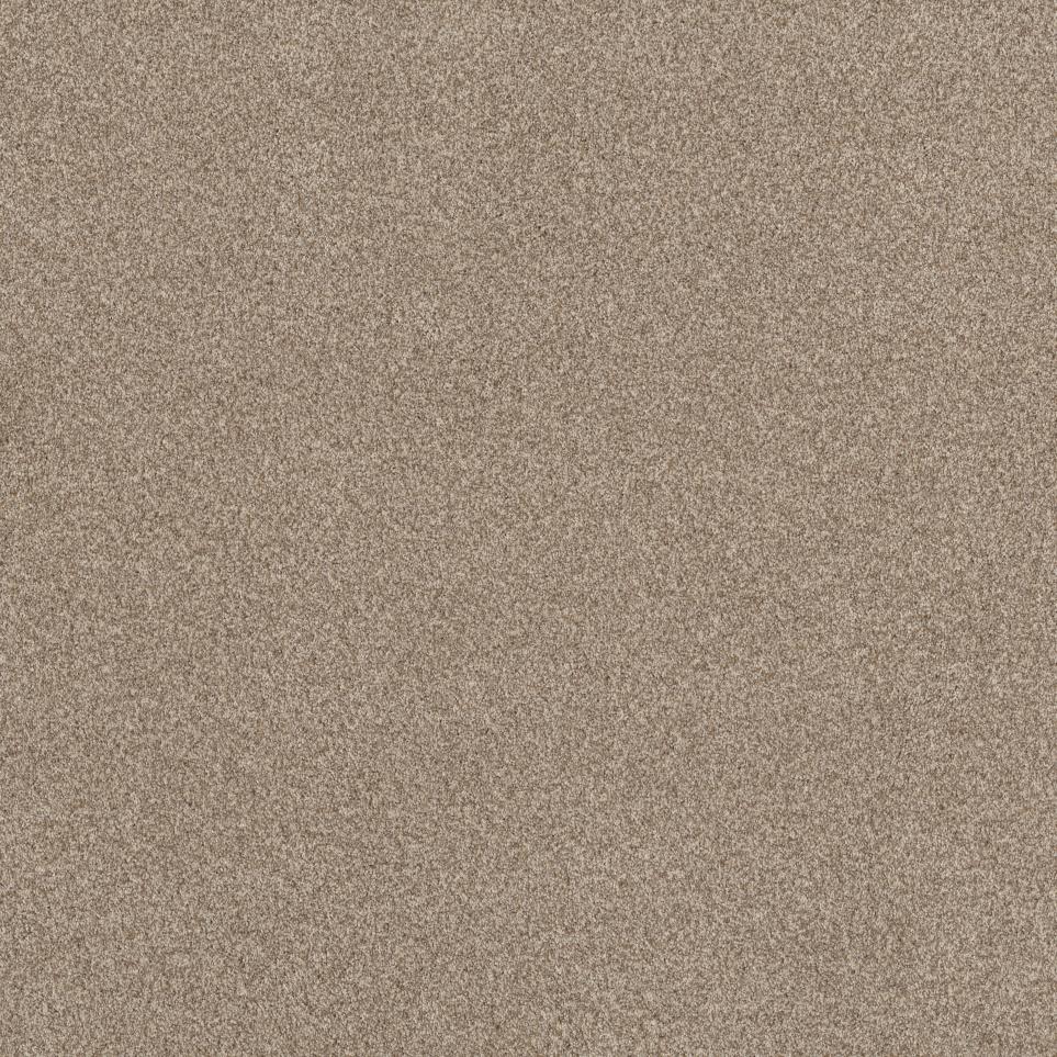 Casual Texture Coral Blush Beige/Tan Carpet