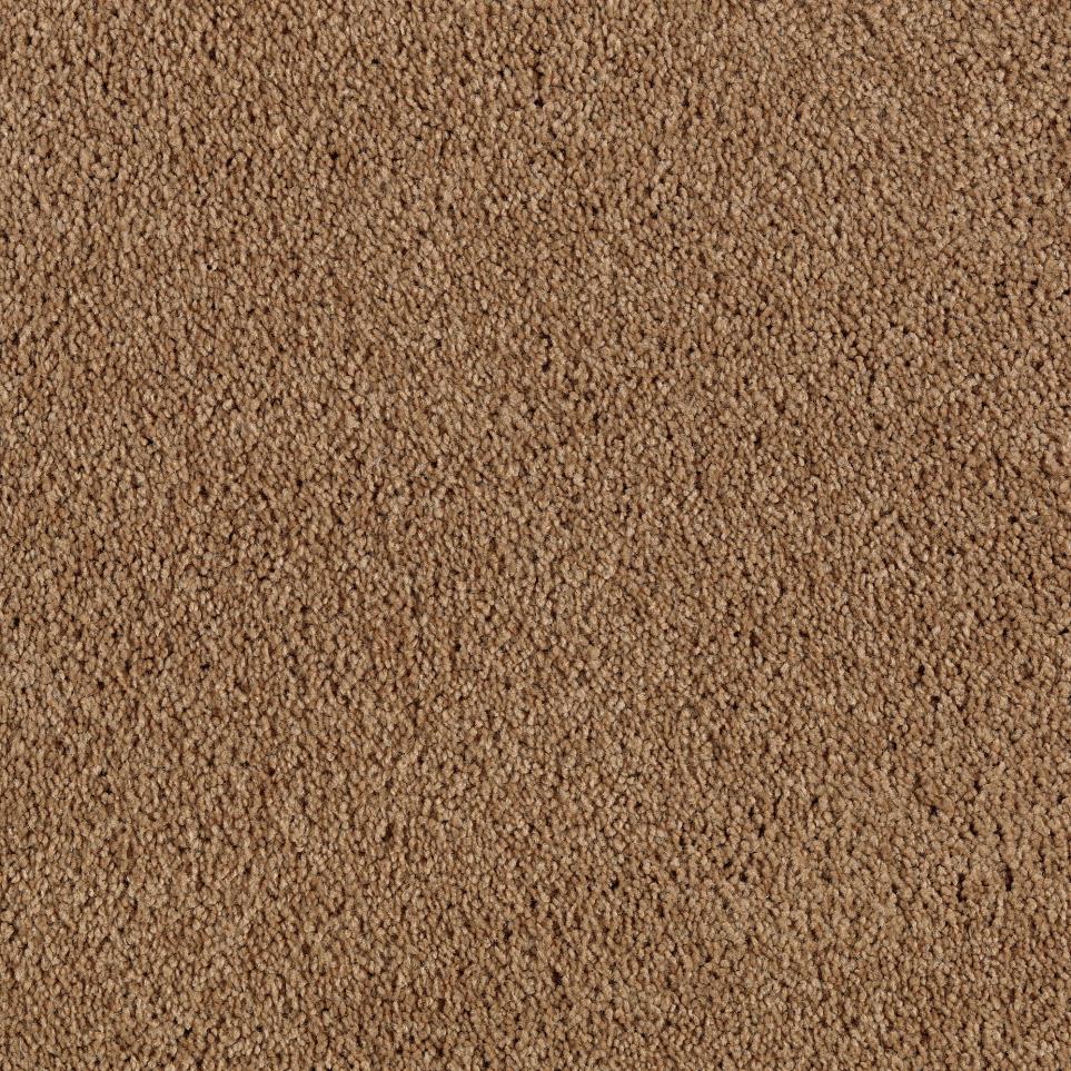 Texture Structured Brown Carpet