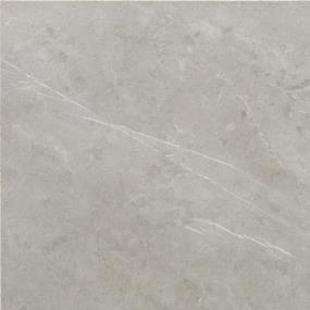 Tile Stamina Grey Matte Gray Tile