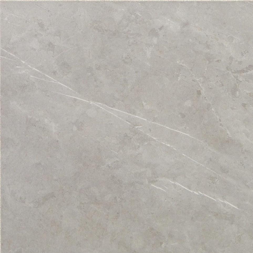 Tile Stamina Grey Matte Gray Tile