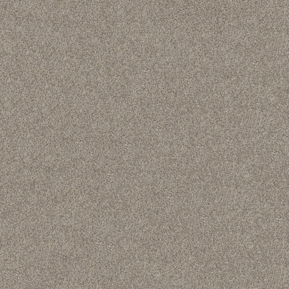 Texture Honey Gray Carpet