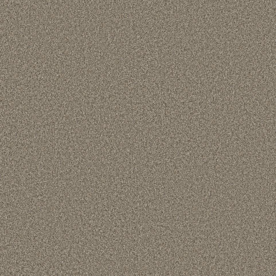 Texture Quail Beige/Tan Carpet