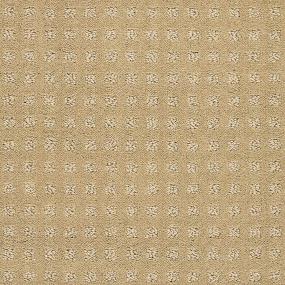 Pattern Suede Beige/Tan Carpet