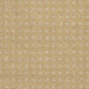 Pattern Suede Beige/Tan Carpet