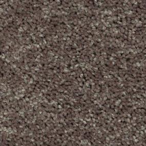 Textured Saxony Stucco Brown Carpet