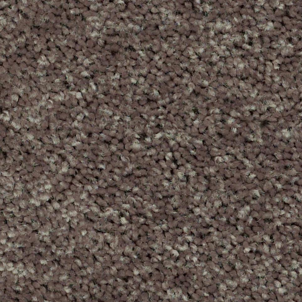 Texture Stucco Brown Carpet