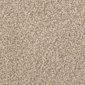 Casual Texture Dorion Tweed Beige/Tan Carpet