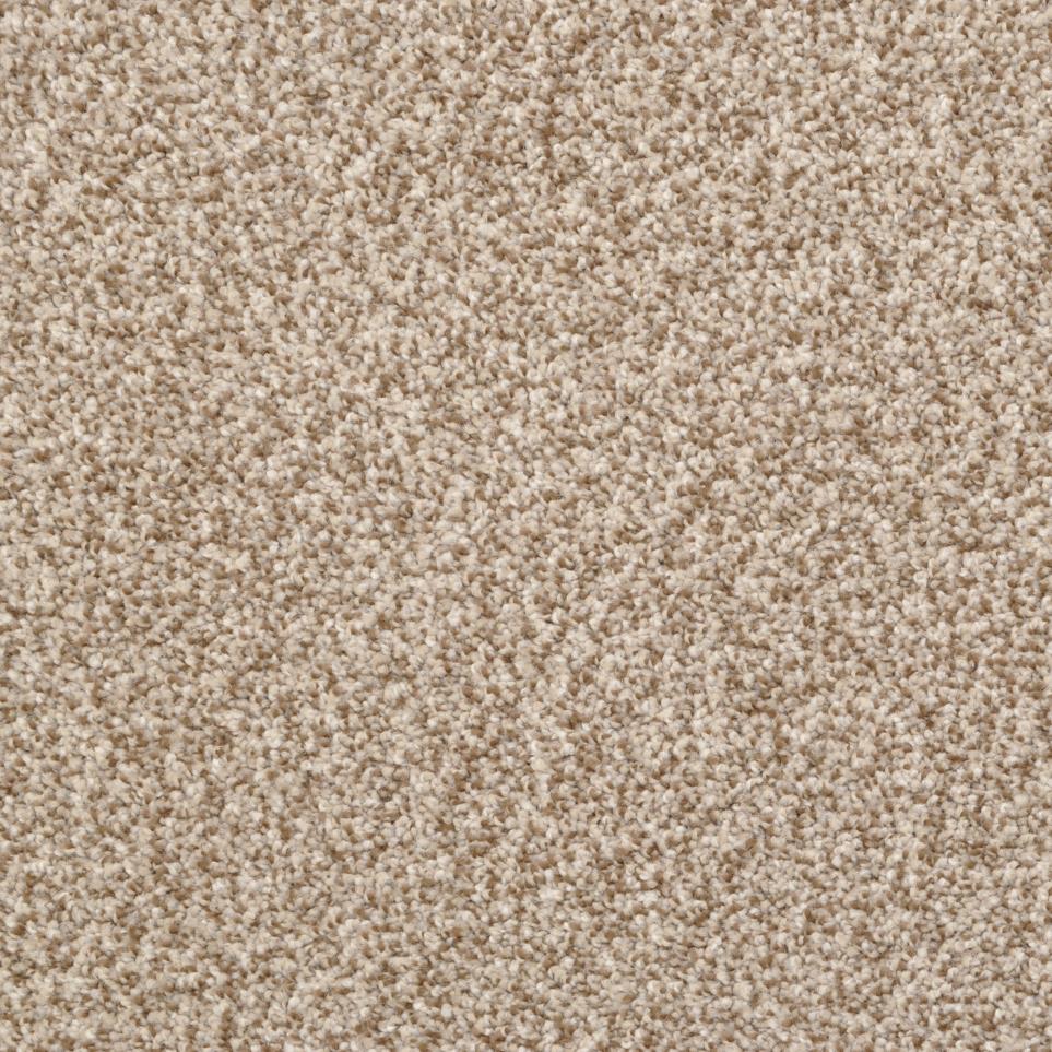 Casual Texture Dorion Tweed Beige/Tan Carpet