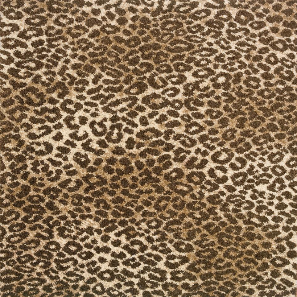 Pattern Beige Brown Beige/Tan Carpet