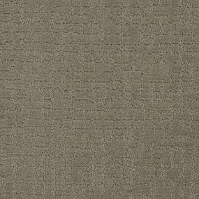 Pattern Precious Touch Brown Carpet