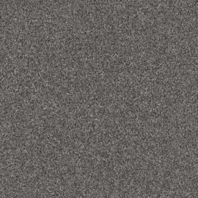 Casual Texture Gunmetal Gray Carpet