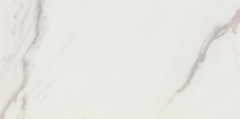 Tile Studio Carrara Polished White Tile