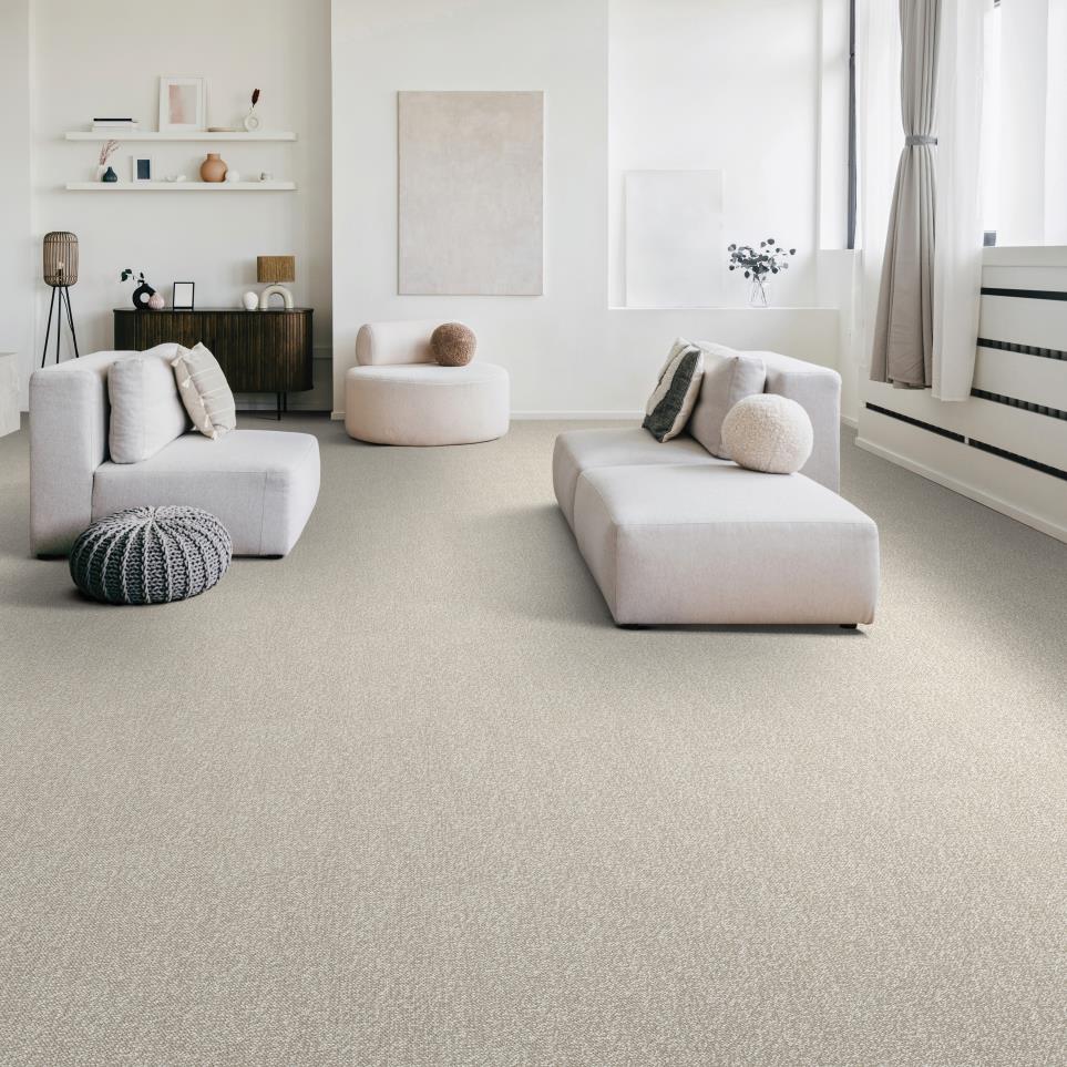 Loop Evening Stillness Gray Carpet
