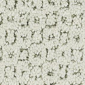 Pattern Zestful White Carpet