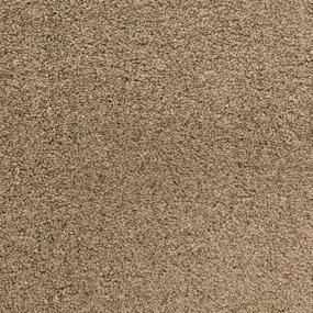 Textured Saxony Walking Trail Brown Carpet