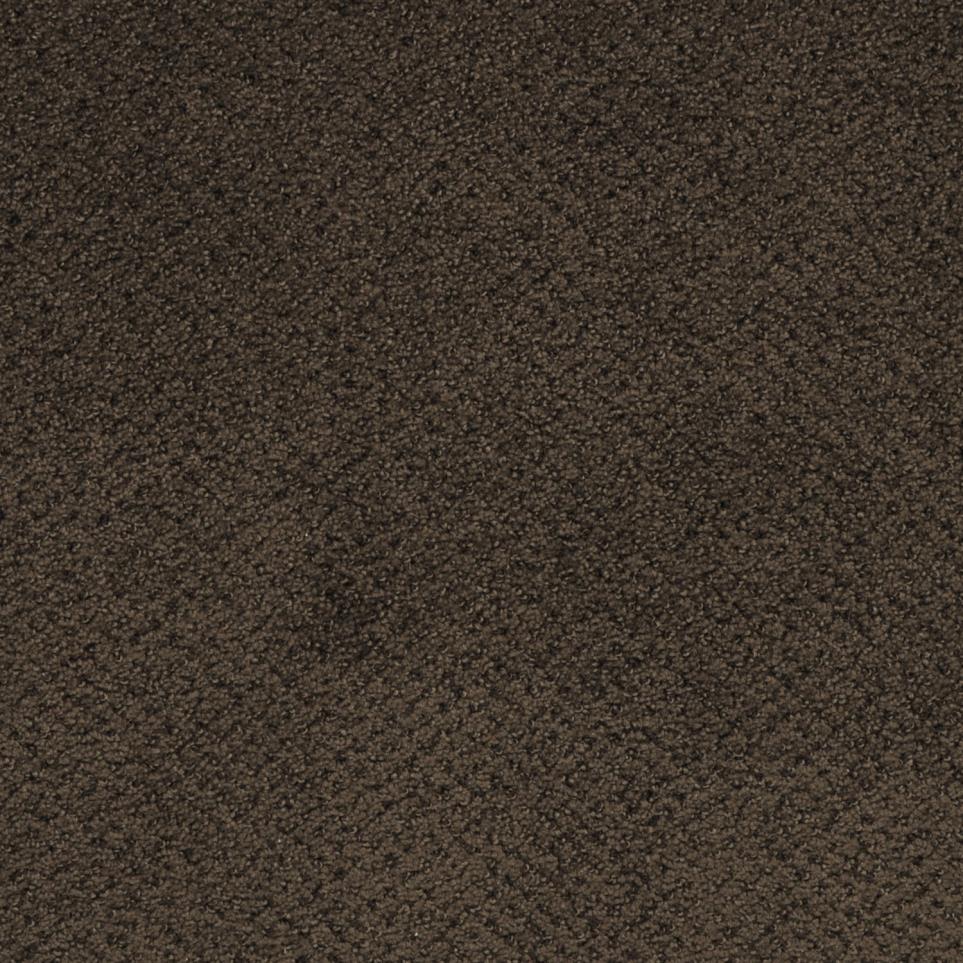 Pattern Pier Brown Carpet