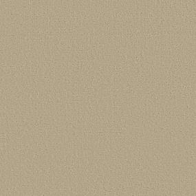 Pattern Nutria Beige/Tan Carpet