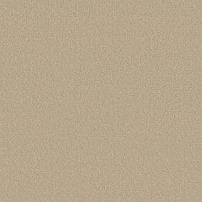 Pattern Nutria Beige/Tan Carpet