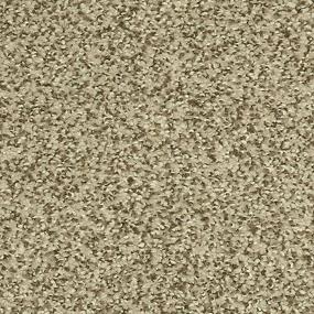 Textured Saxony Cashmere Sweater Beige/Tan Carpet