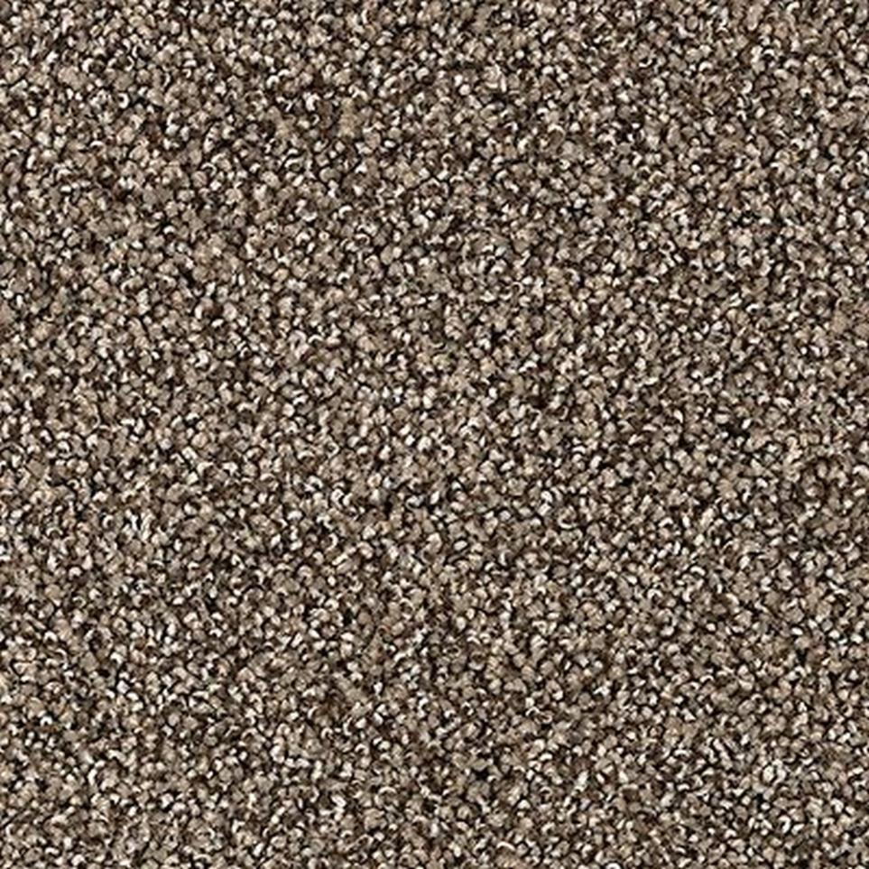 Textured Saxony Boulevard Brown Carpet