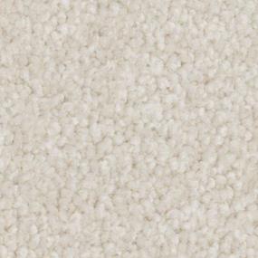 Texture French Vanilla Beige/Tan Carpet