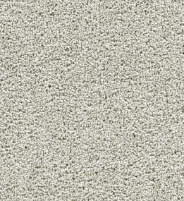 Textured Saxony ATTRIBUTE Gray Carpet