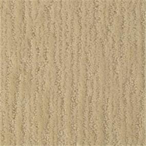 Pattern Pontoon Ride Beige/Tan Carpet