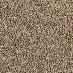 Texture Urban Jungle Brown Carpet