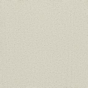 Cut Pile Fantasia Beige/Tan Carpet