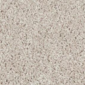 Texture Lace Beige/Tan Carpet