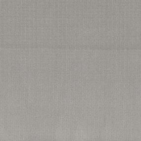 Pattern Shadowed Silver Gray Carpet