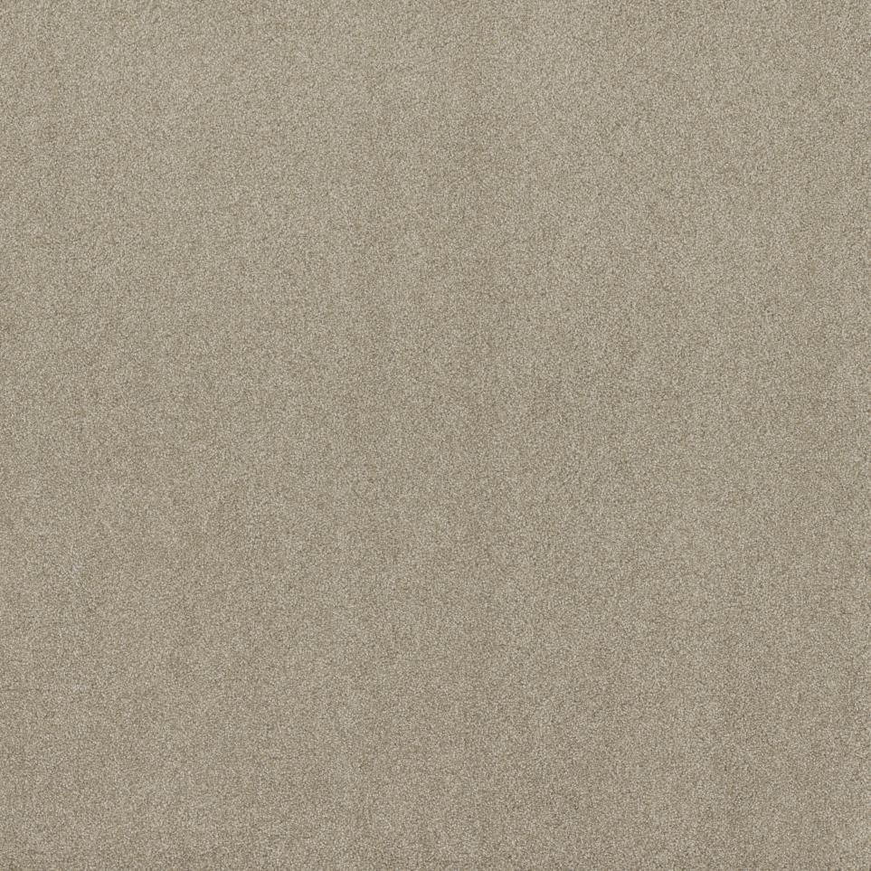 Texture Pebble Beige/Tan Carpet