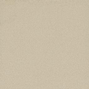 Textured Saxony Breezy Beige/Tan Carpet