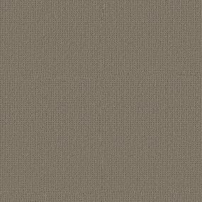 Loop Taupe Gray Brown Carpet