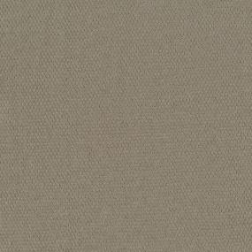 Pattern Country Road Beige/Tan Carpet