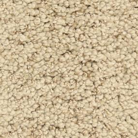 Casual Texture Immortal Beige/Tan Carpet